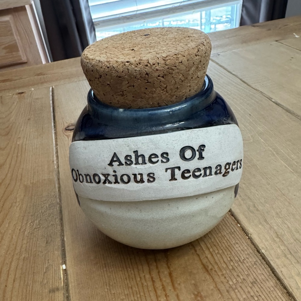 “Ashes Of Obnoxious Teenagers” Ceramic Jar with Cork Lid - Blue and White
